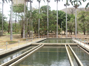 PTAP Tonchalá